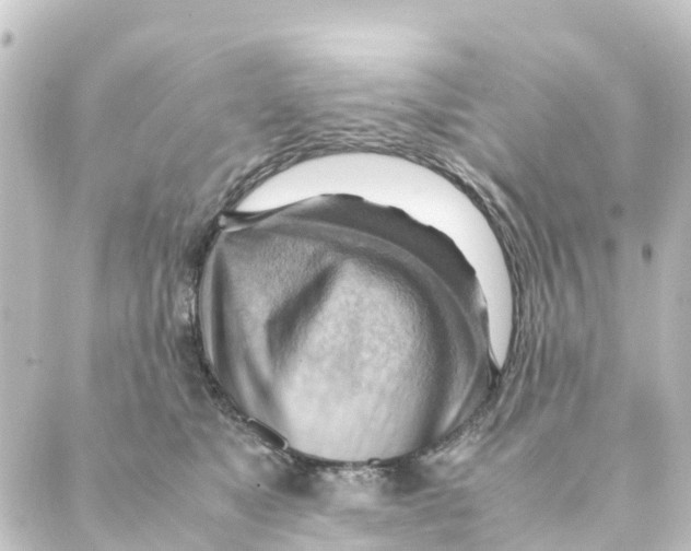 X0000088600517200706221409