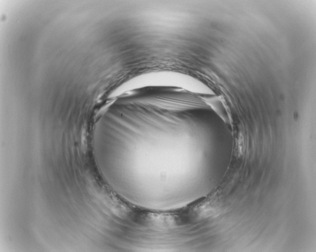 X0000088600520200706221409