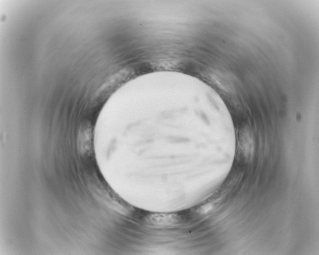 X0000088600526200706221409