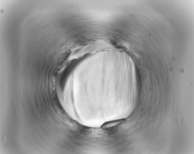 X0000088600528200706221409