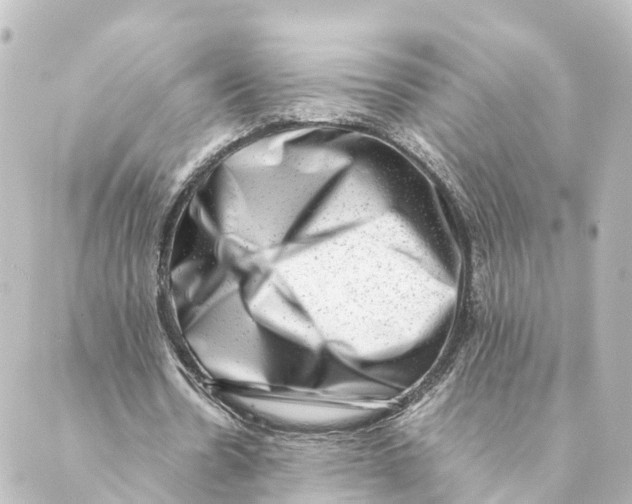 X0000088600530200706221408