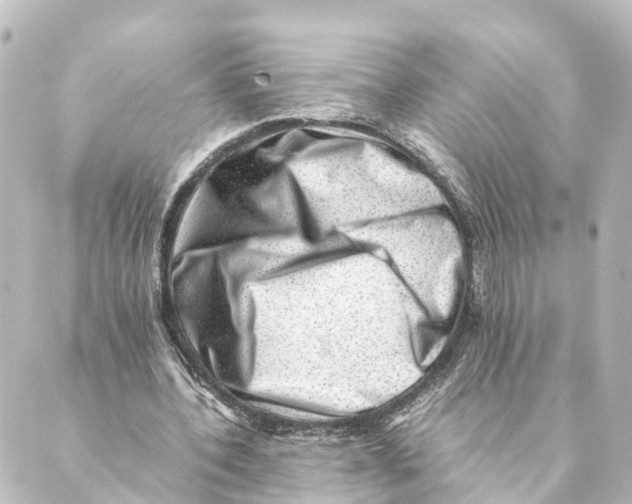 X0000088600532200706221408
