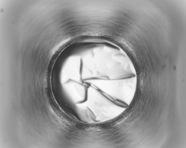 X0000088600536200706221408