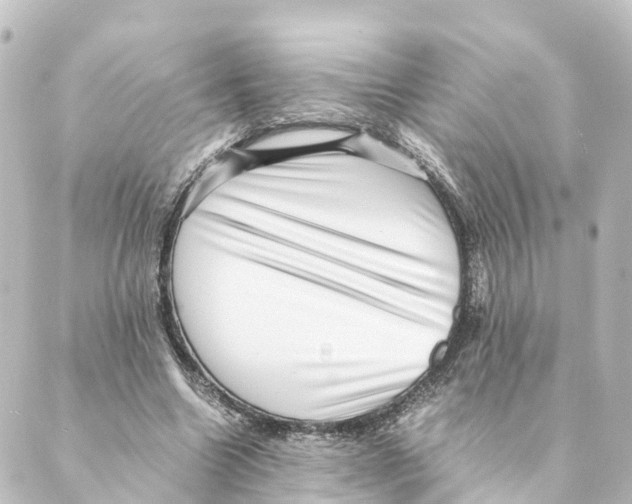 X0000088600538200706221408