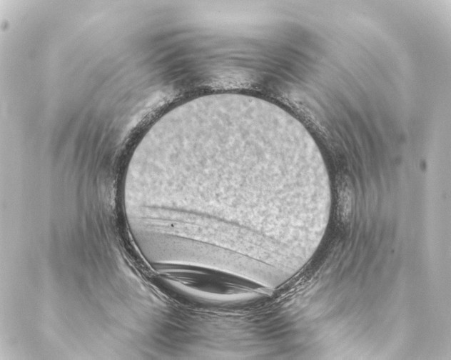 X0000088600539200706221408