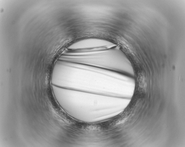 X0000088600546200706221408
