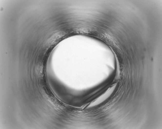 X0000088600548200706221408