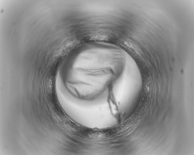 X0000088600551200706221408