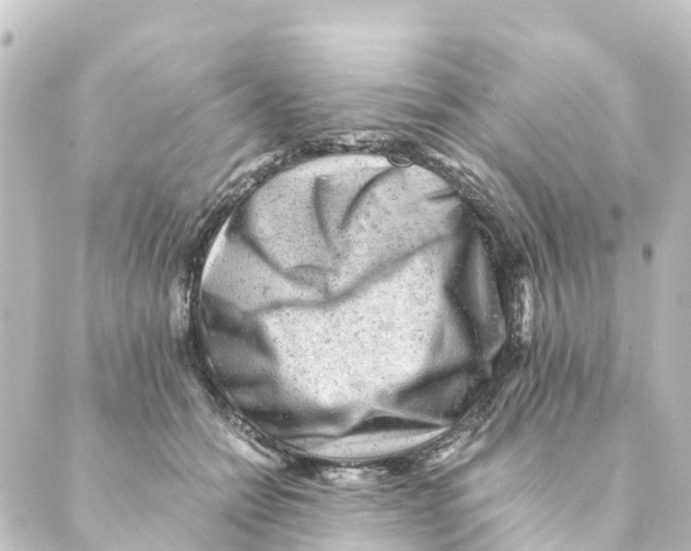 X0000088600558200706221408