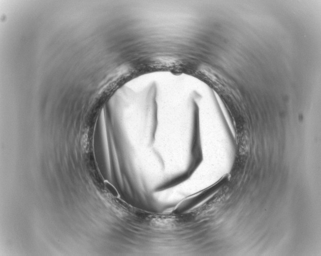 X0000088600560200706221408