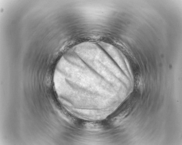 X0000088600568200706221409