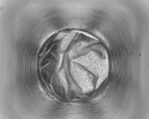 X0000088600580200706221408