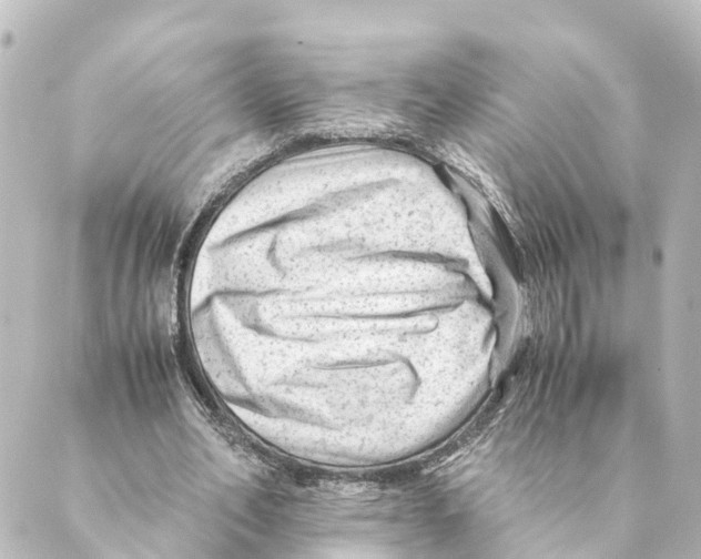 X0000088600582200706221408