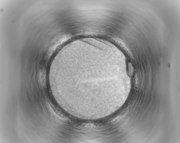 X0000088600588200706221408