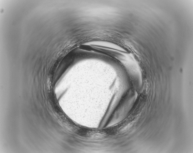 X0000088600597200706221408