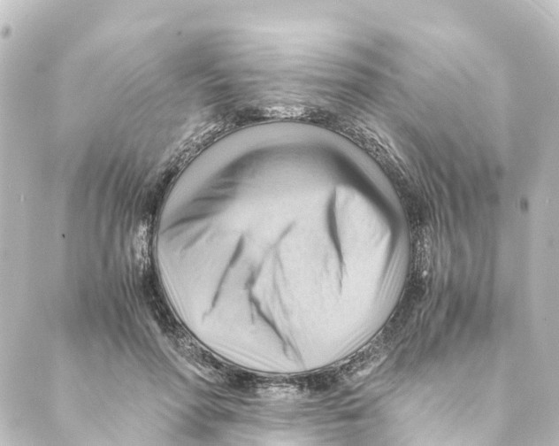 X0000088600598200706221408