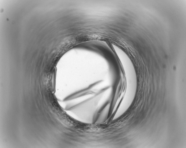 X0000088600601200706221408