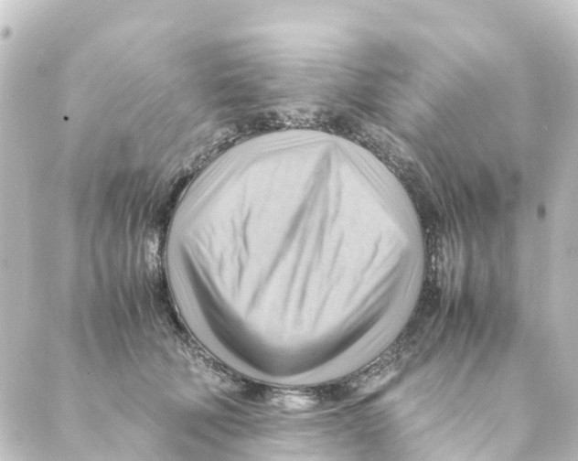 X0000088600610200706221407