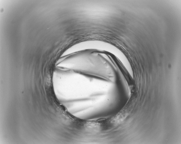 X0000088600617200706221407