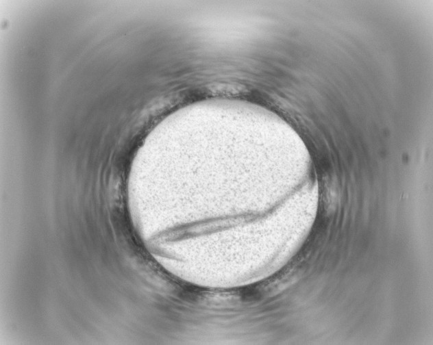 X0000088600619200706221407