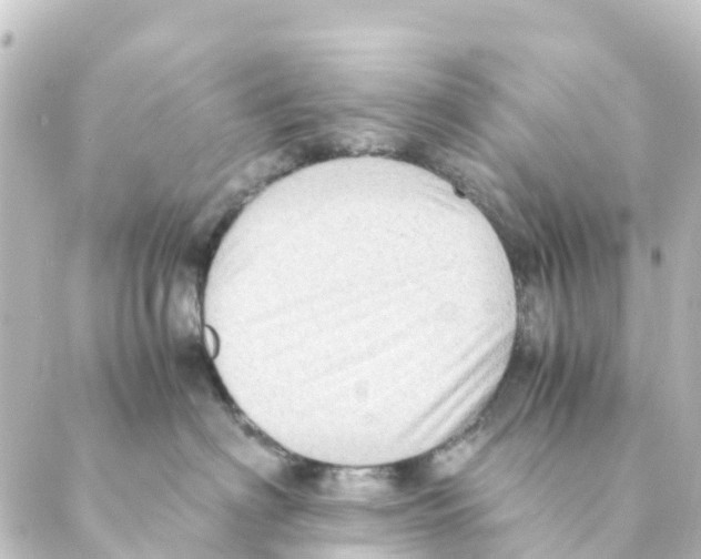 X0000088600622200706221407
