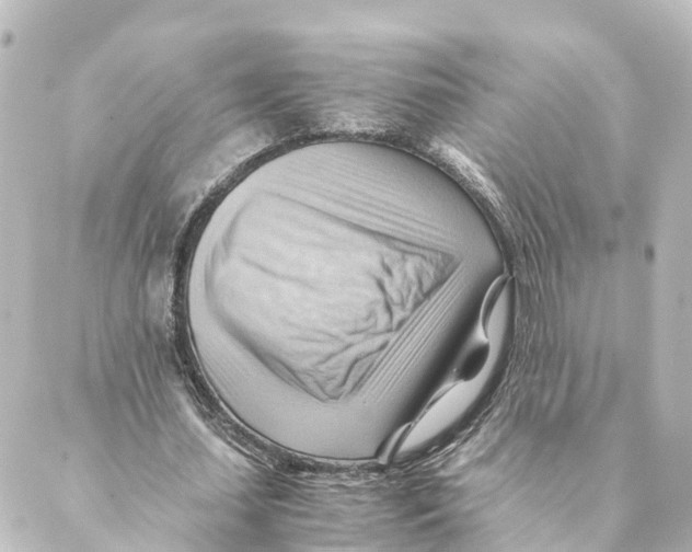 X0000088600627200706221406