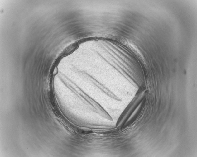 X0000088600628200706221406