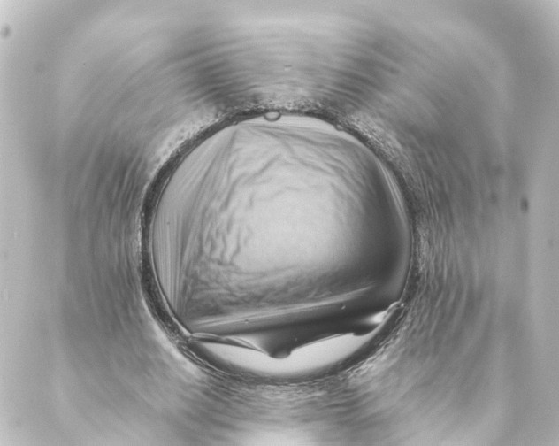 X0000088600630200706221406