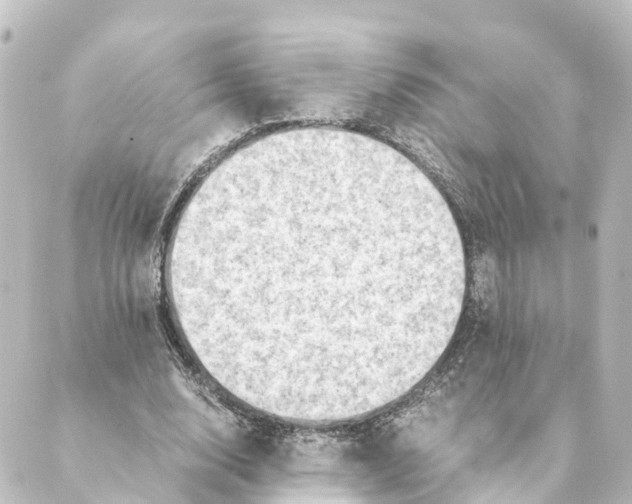 X0000088600632200706221406