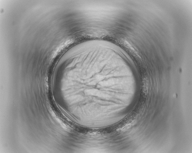 X0000088600634200706221407