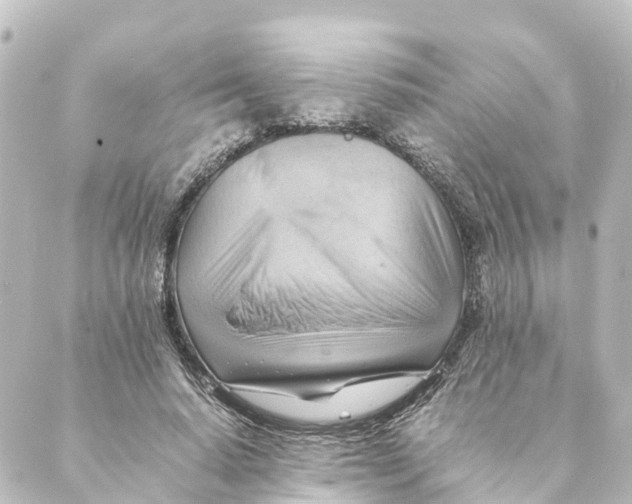 X0000088600640200706221407