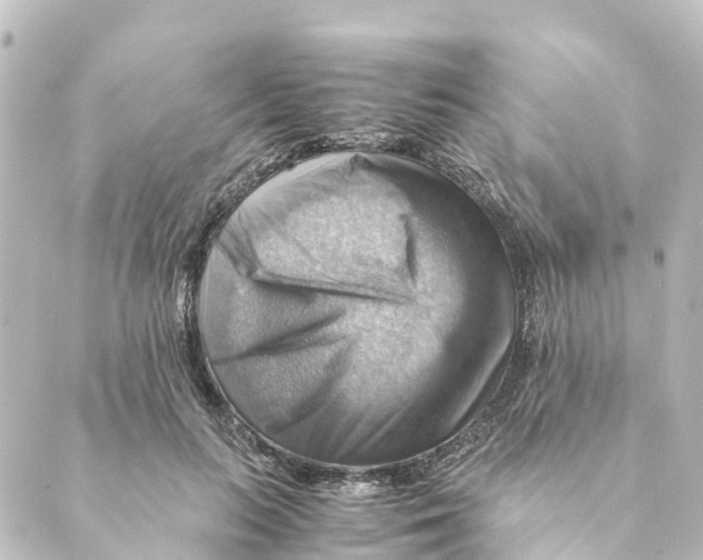 X0000088600647200706221407