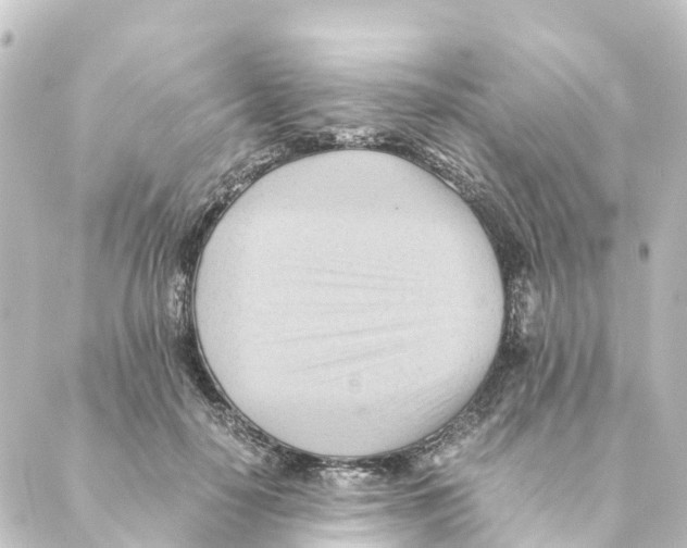 X0000088600650200706221407