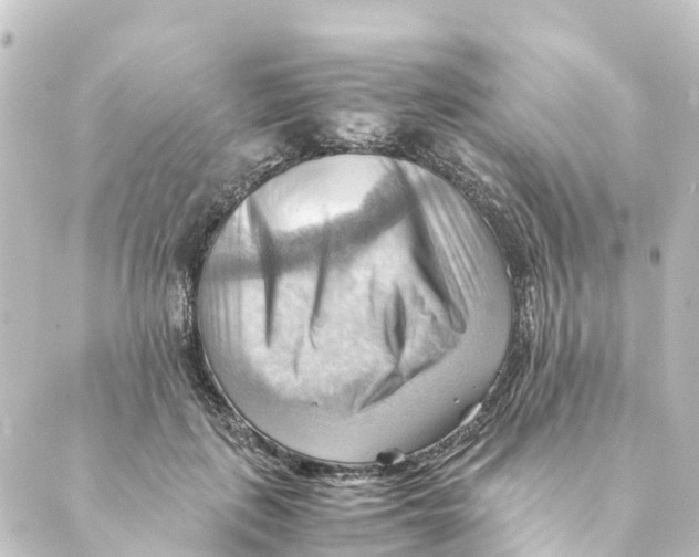 X0000088600651200706221407