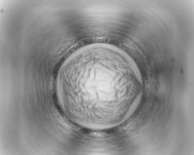 X0000088600654200706221407