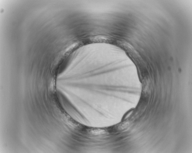 X0000088600669200706221407