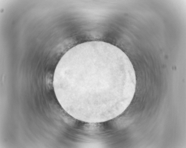 X0000088600672200706221407