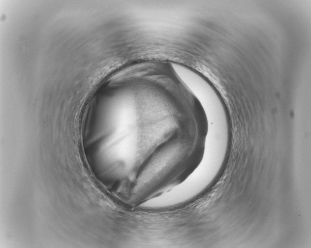 X0000088600673200706221406