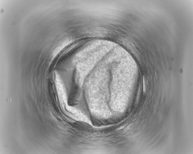 X0000088600675200706221406