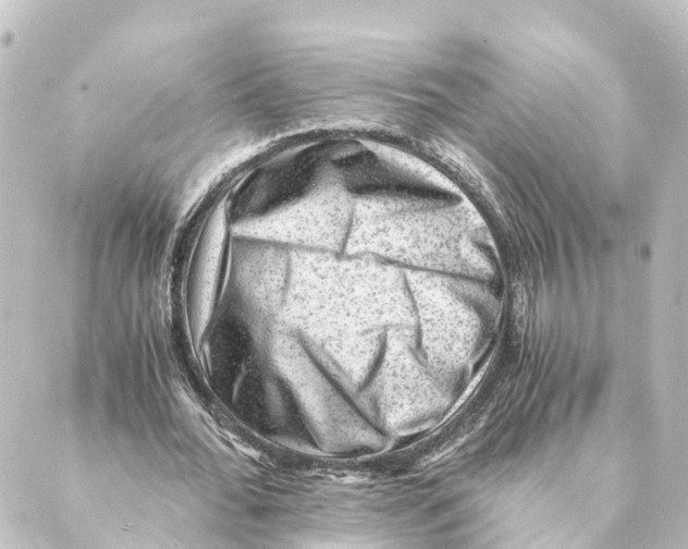X0000088600676200706221406