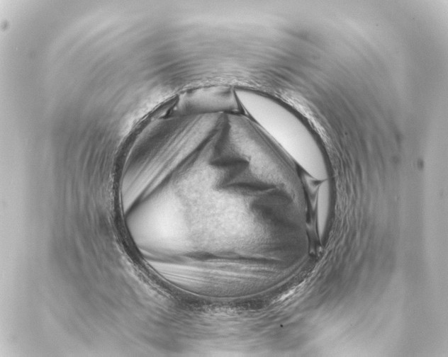 X0000088600677200706221406
