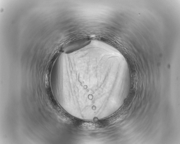 X0000088600699200706221406