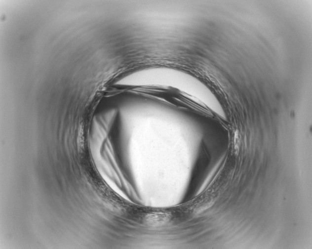 X0000088600700200706221406