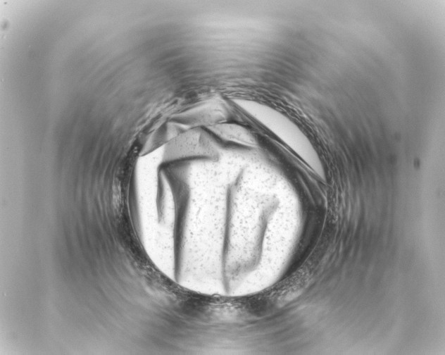X0000088600704200706221406