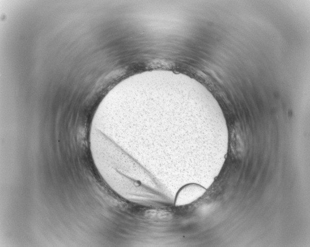X0000088600714200706221406