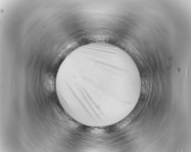 X0000088600718200706221406