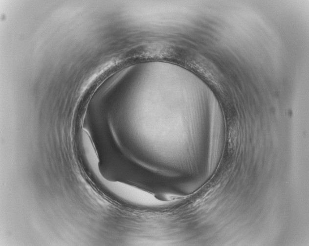 X0000088600722200706221405