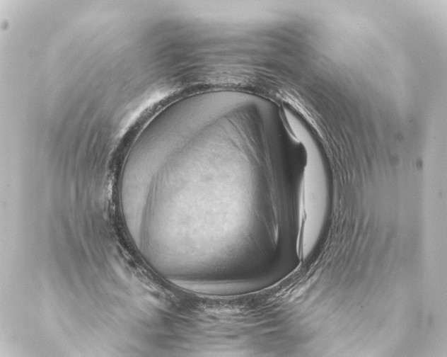 X0000088600723200706221405