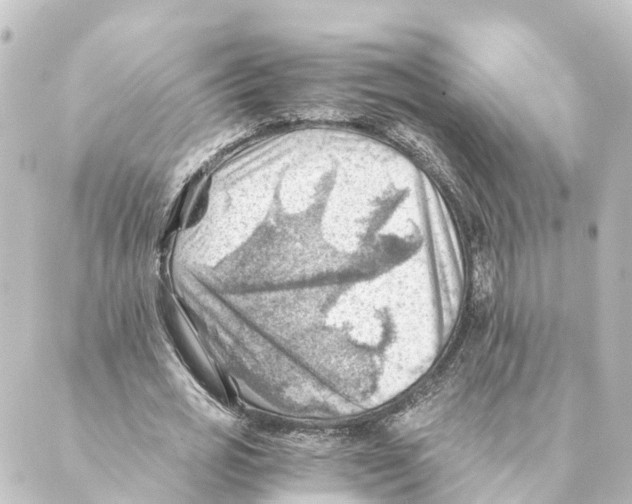 X0000088600725200706221405