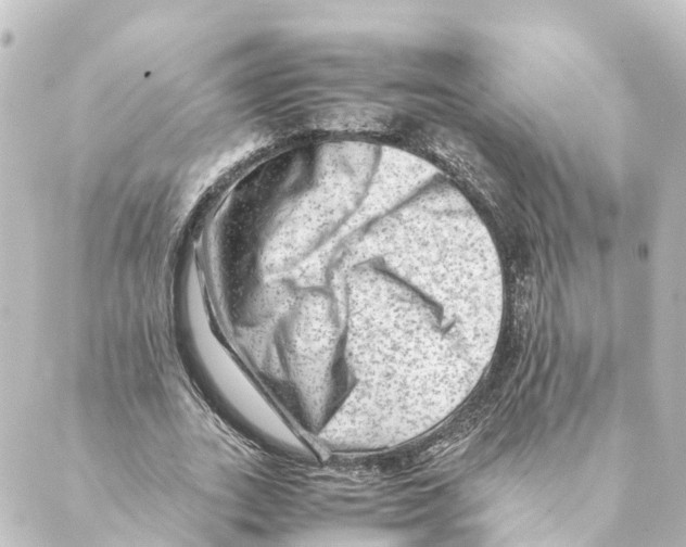 X0000088600727200706221405
